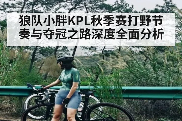 狼队小胖KPL秋季赛打野节奏与夺冠之路深度全面分析